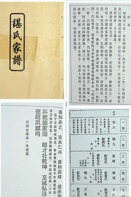 谌字怎么读娃氏(谌字的读音是什么)